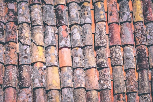 Combien Coûte un Nettoyage de Toiture ? Décryptage des Prix et Conseils pour Votre Maison